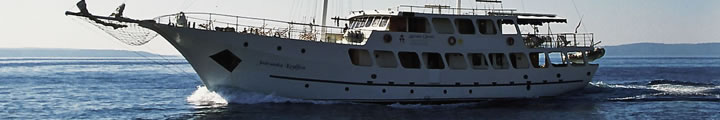 Adriatic Queen, Adriatic cruiser